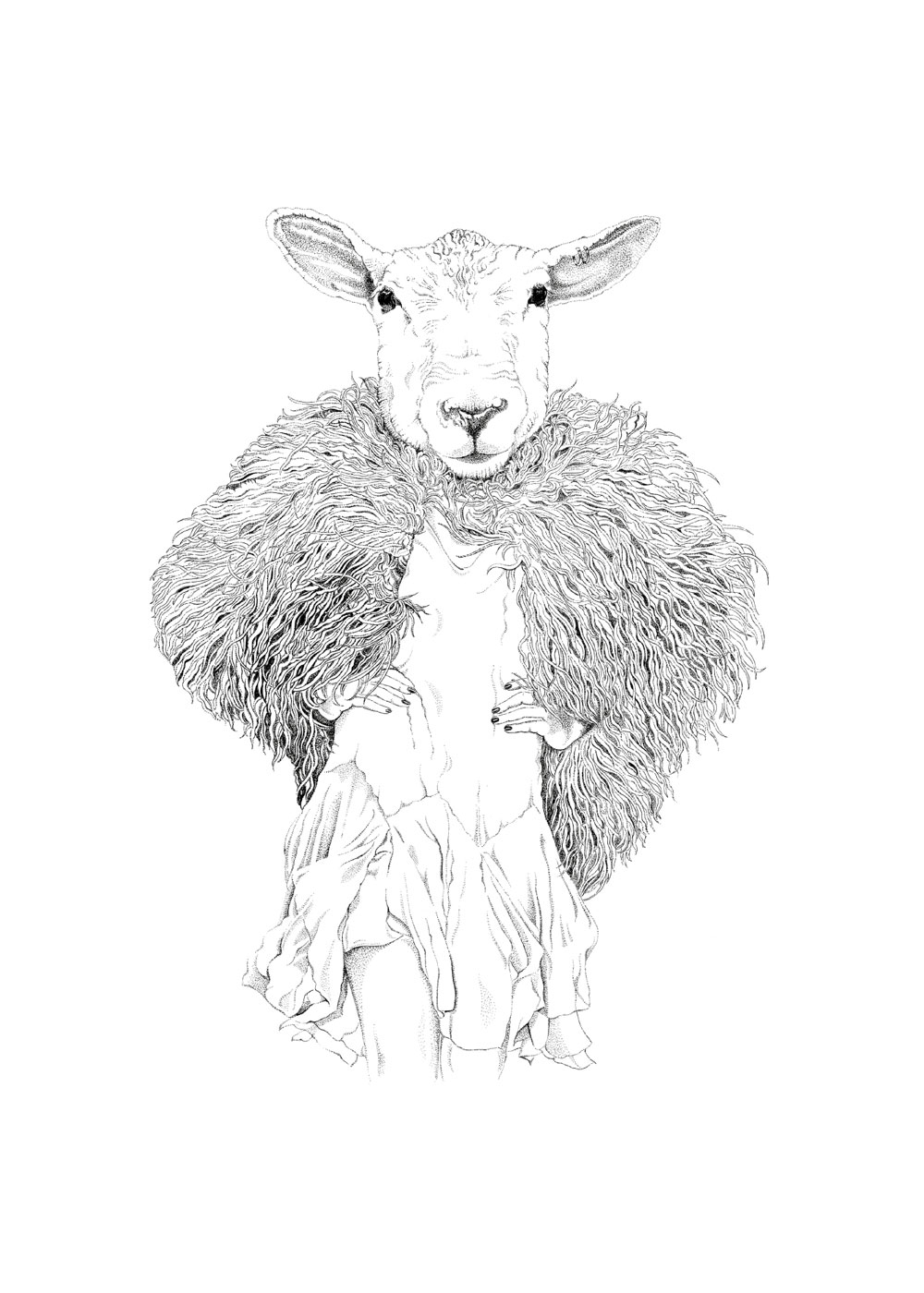 sheepster 50x70